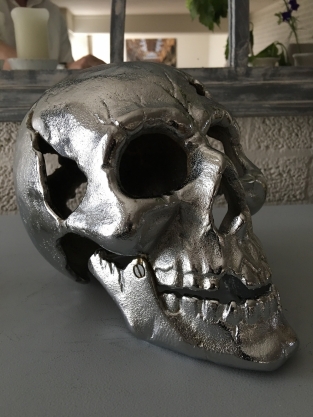 Large Anatomical Skull - Cast Iron - Chrome Nickel